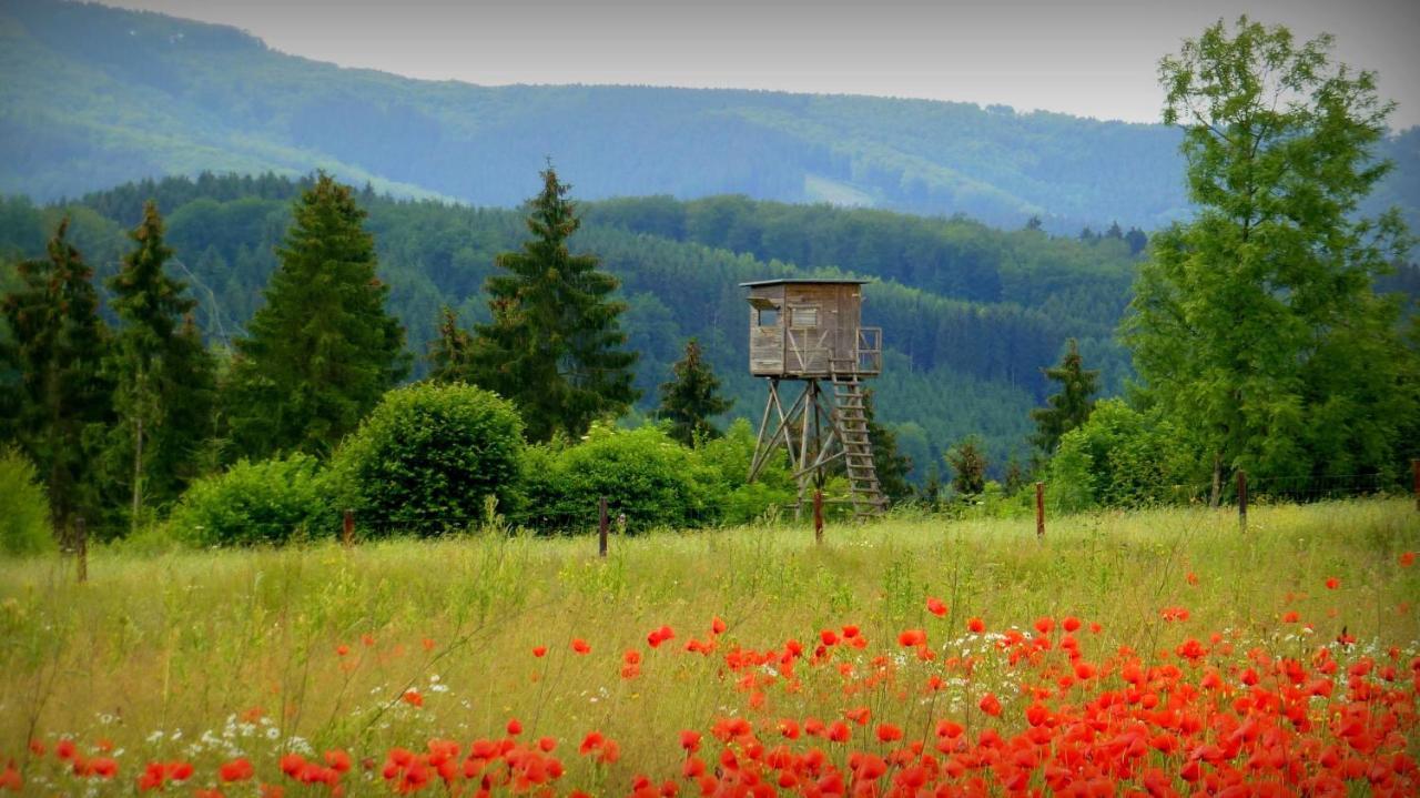 Ferienwohnung Warstein Exteriér fotografie